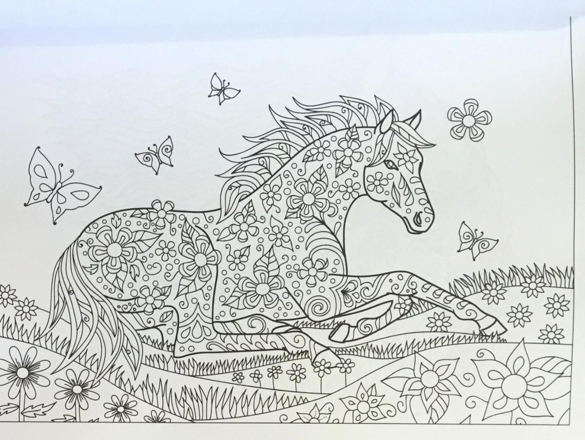 Лошадь пасется раскраска