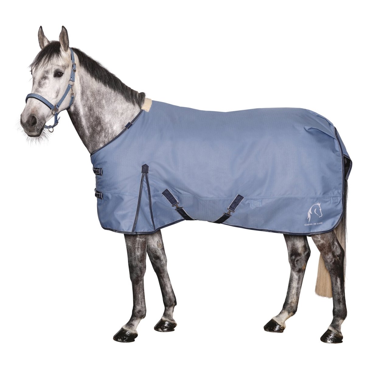 Попону для транспортировки лошадей