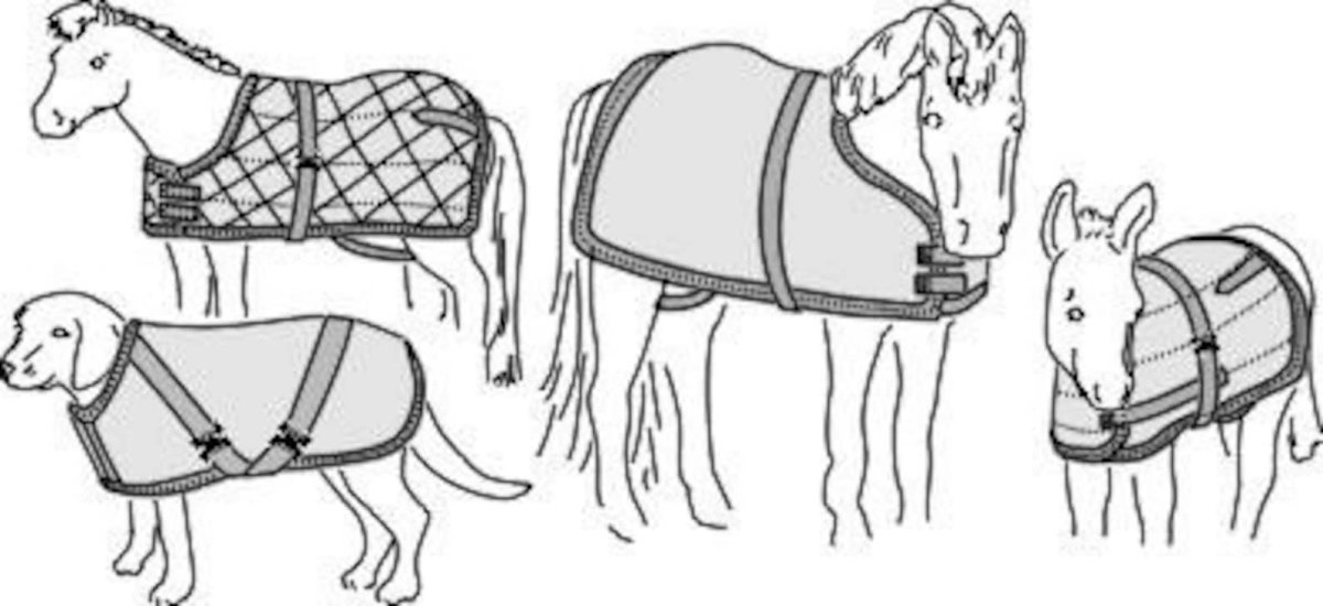 Попона рисунок