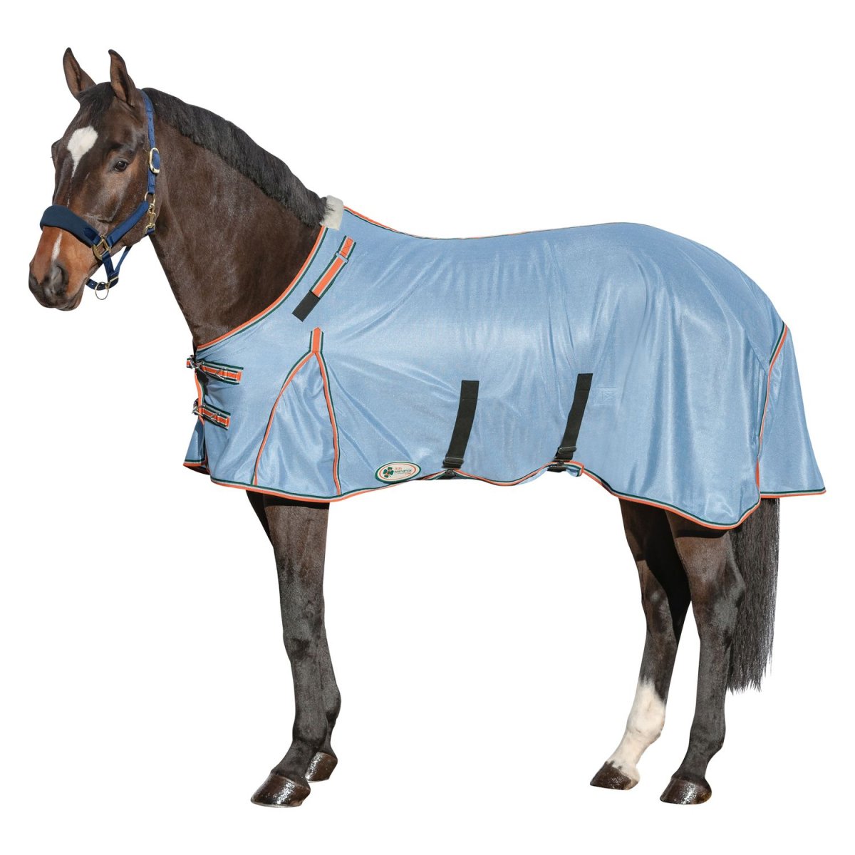 Яркая амуниция для лошади