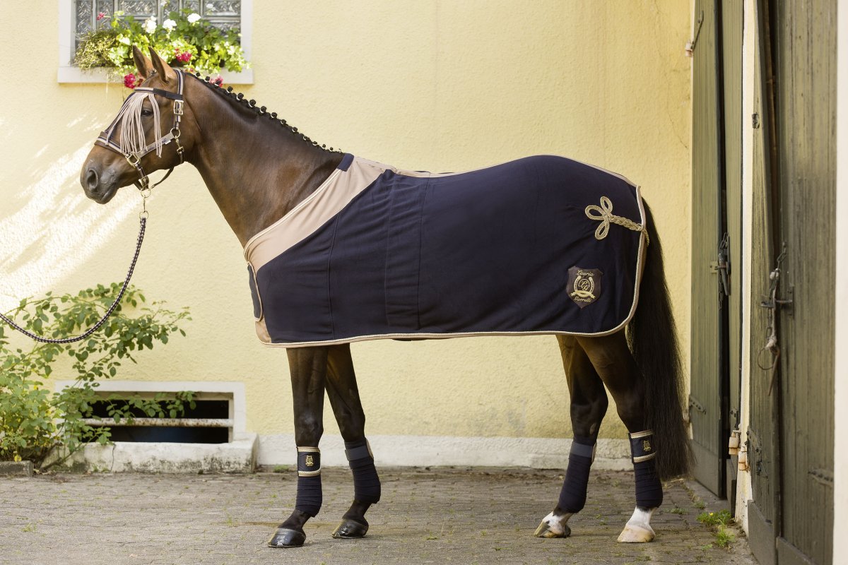 Кольчужная попона