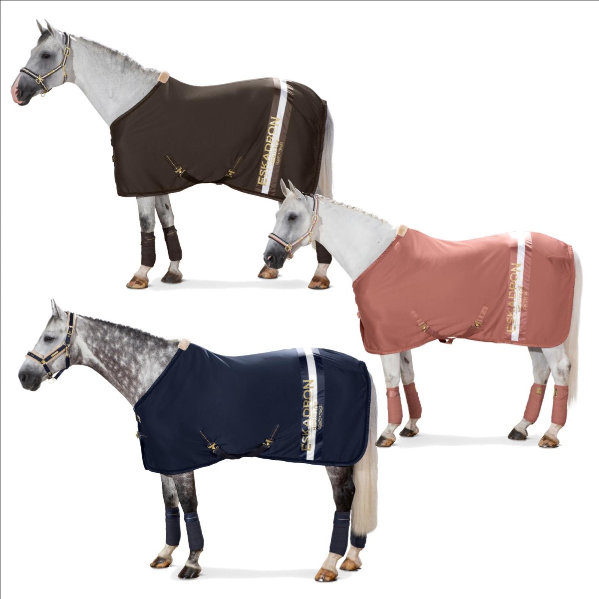 Попона для лошади