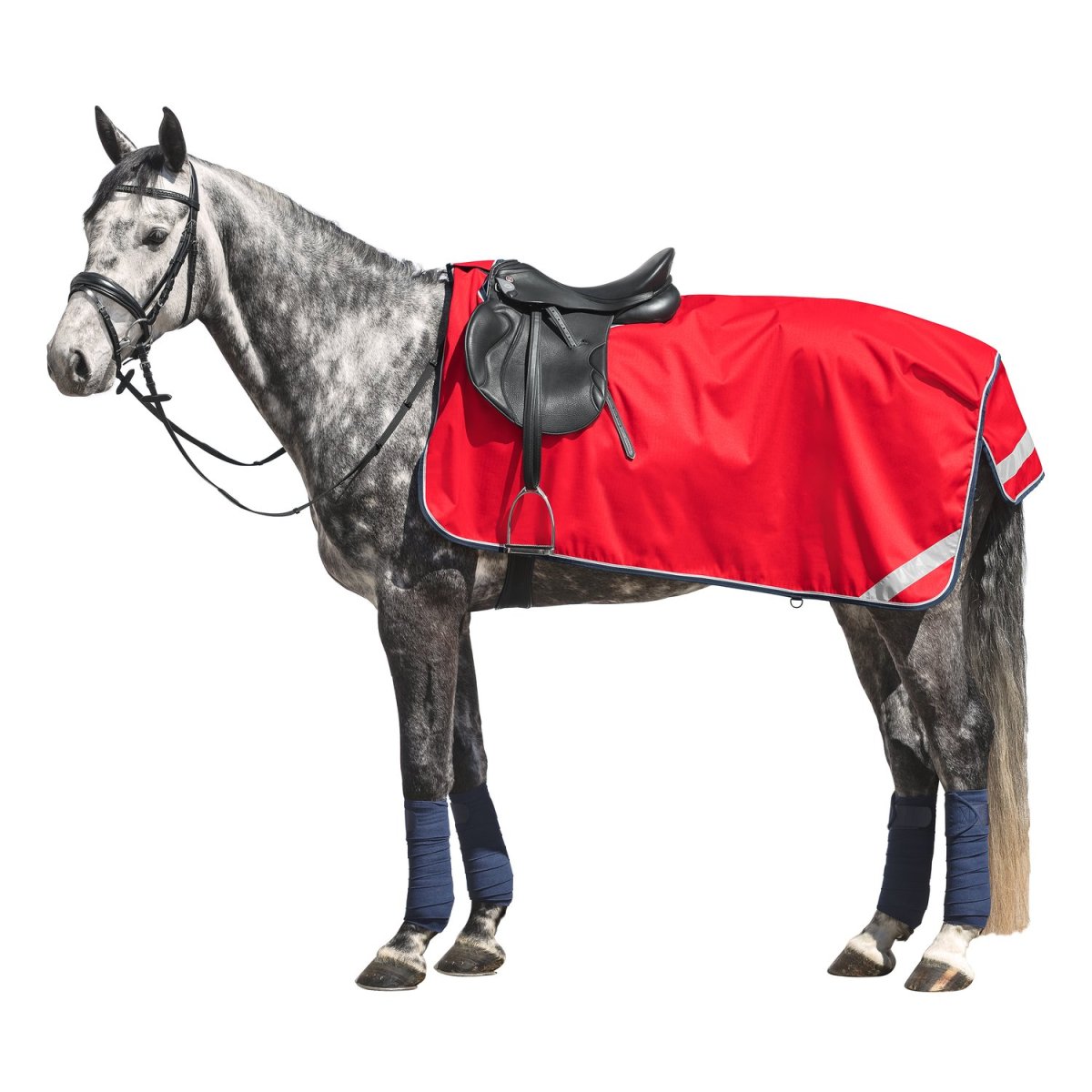 Выкройка попоны для лошади