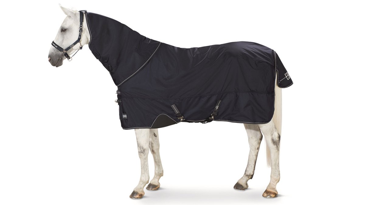 Седло для лошади вектор