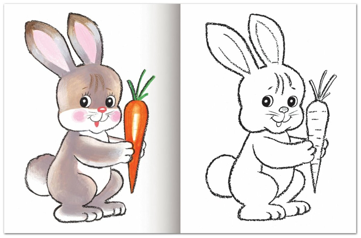 Заяц рисунок