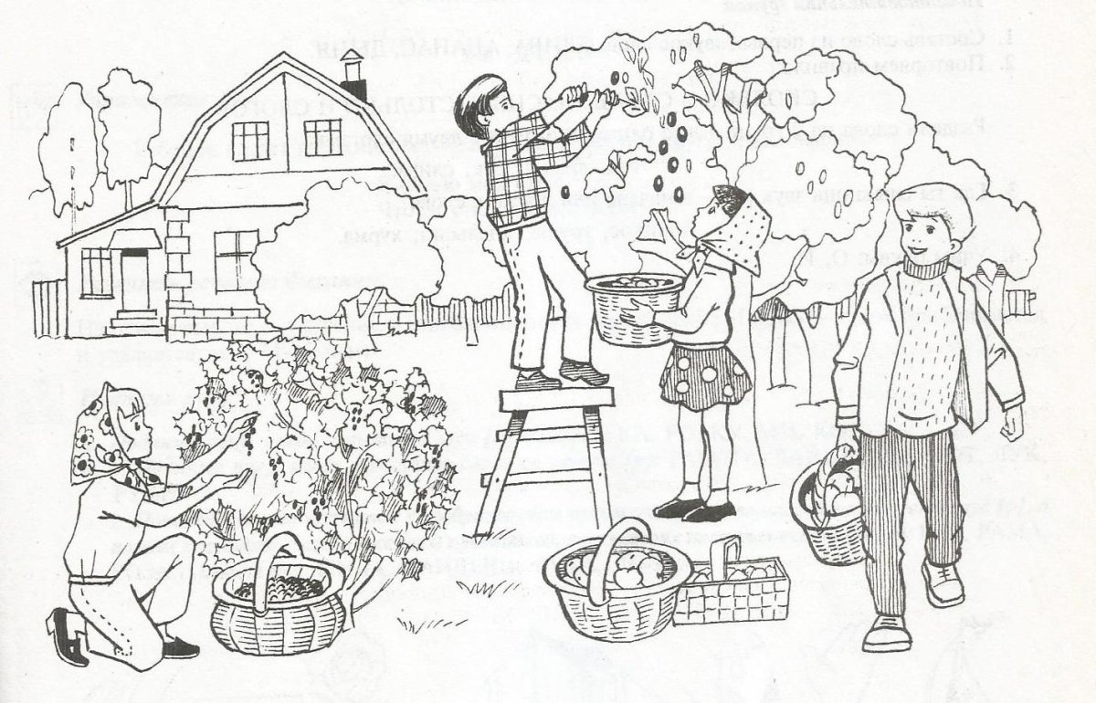 Осеева в одном доме текст