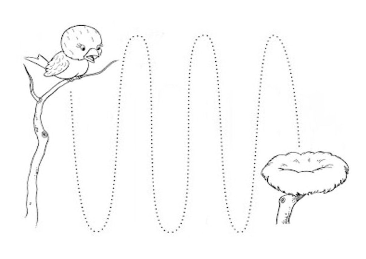 Графомоторика грибы