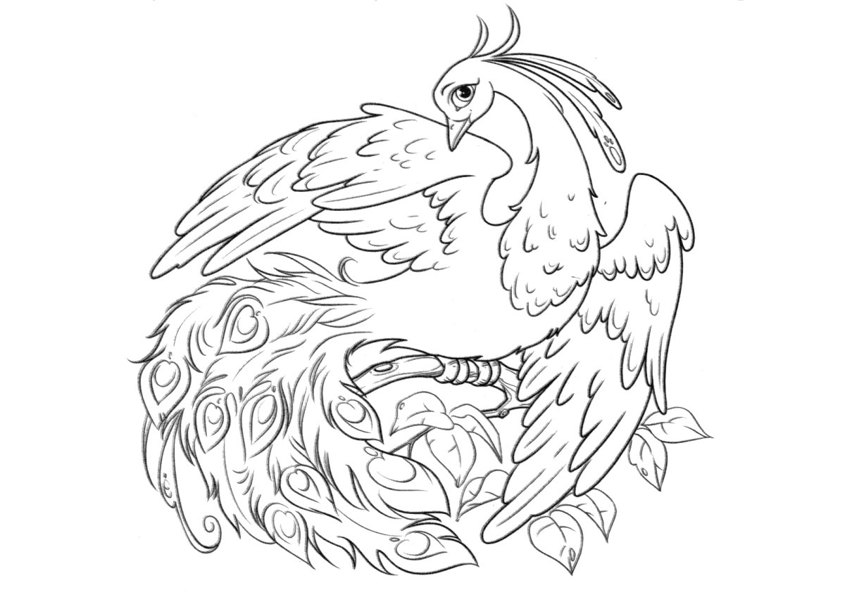 Жар птица раскраска