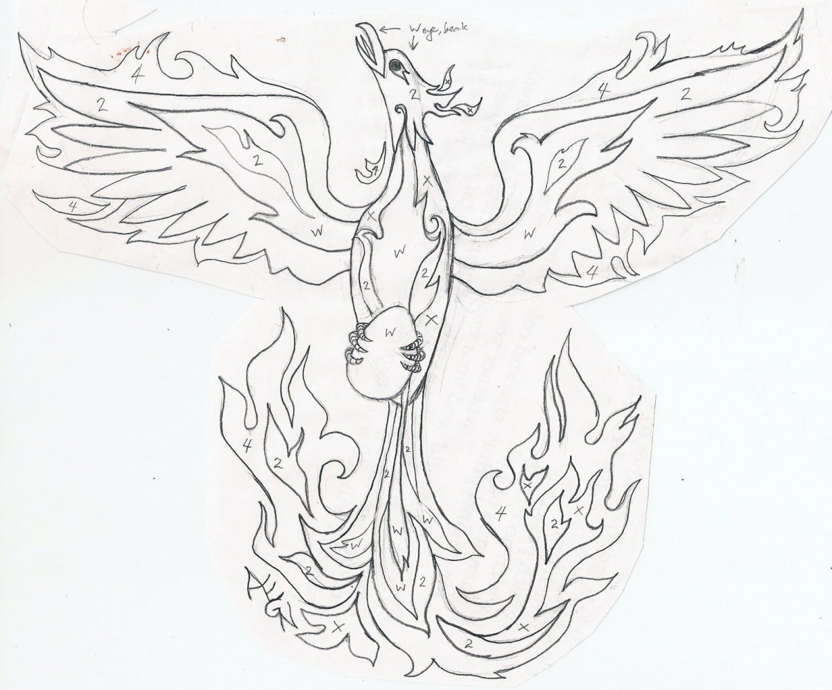 Птица Феникс рисунок карандашом
