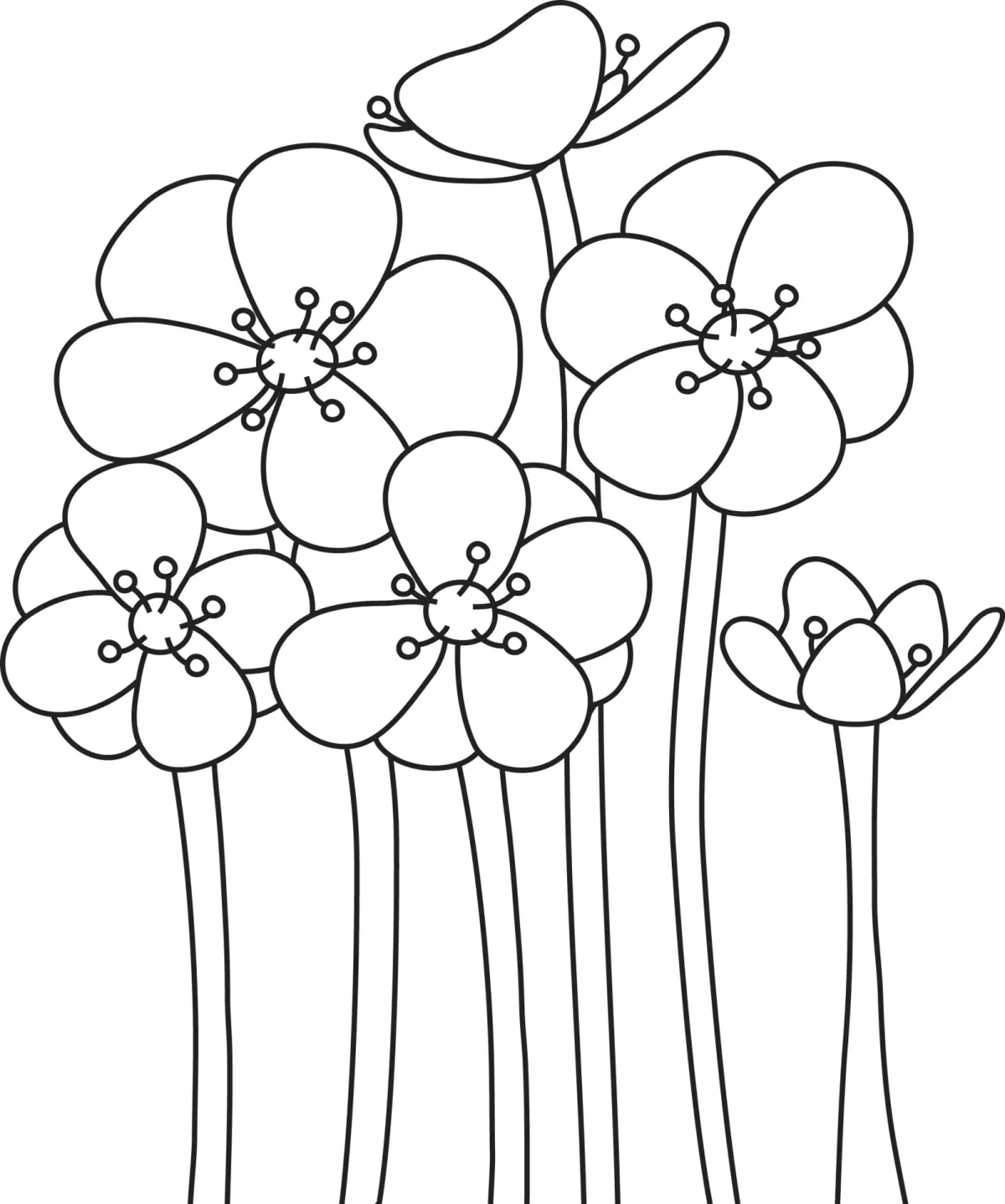 Раскраска первоцветы печеночница