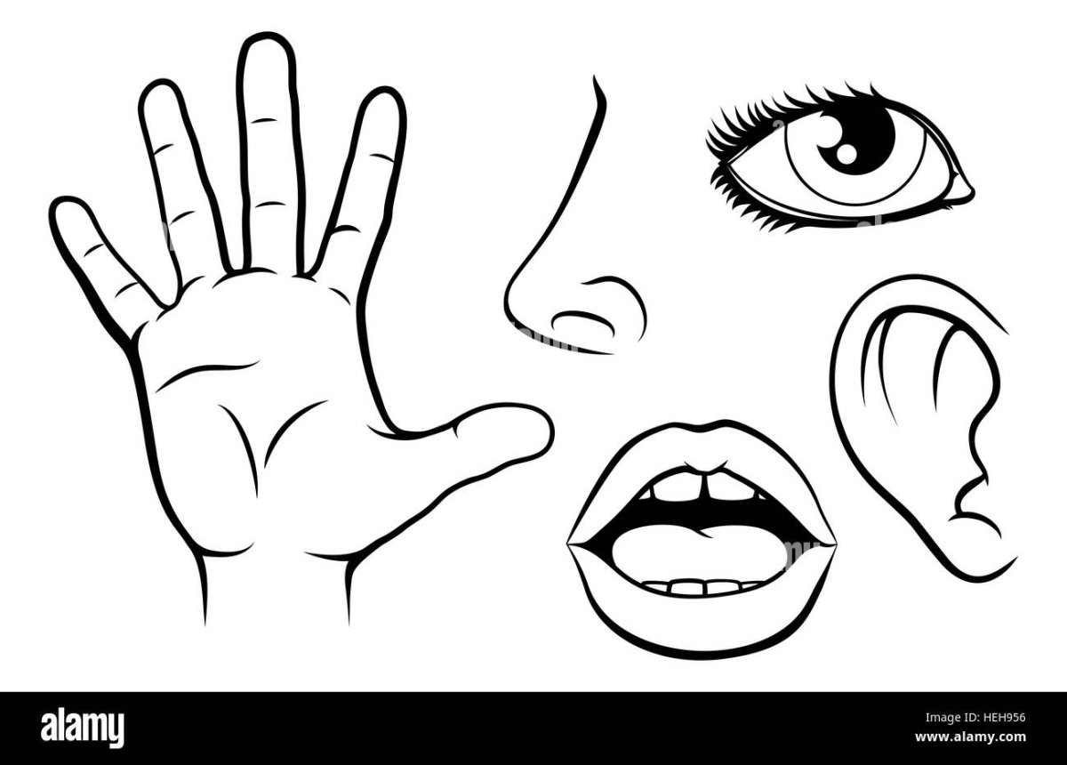 Женские глаза вектор