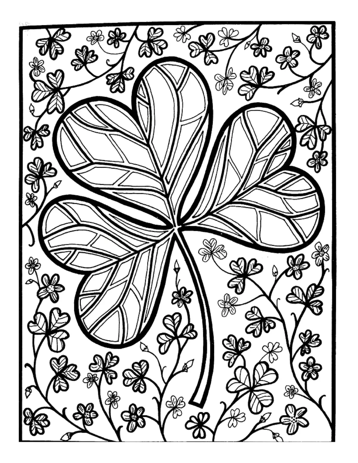 Кислица обыкновенная ботаника