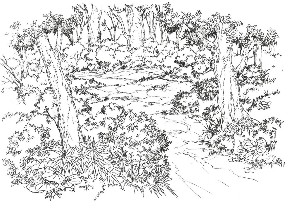 Лес рисунок