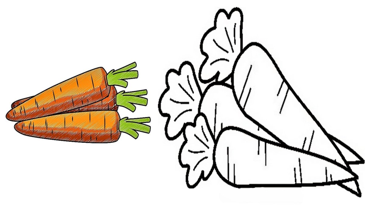Морковка рисунок