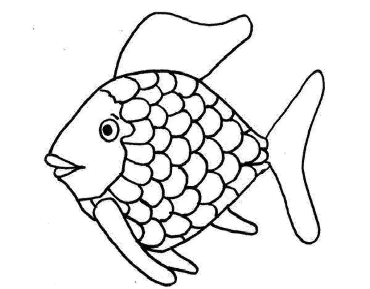 Fish colouring