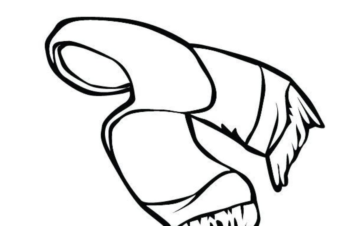 Шарф раскраска