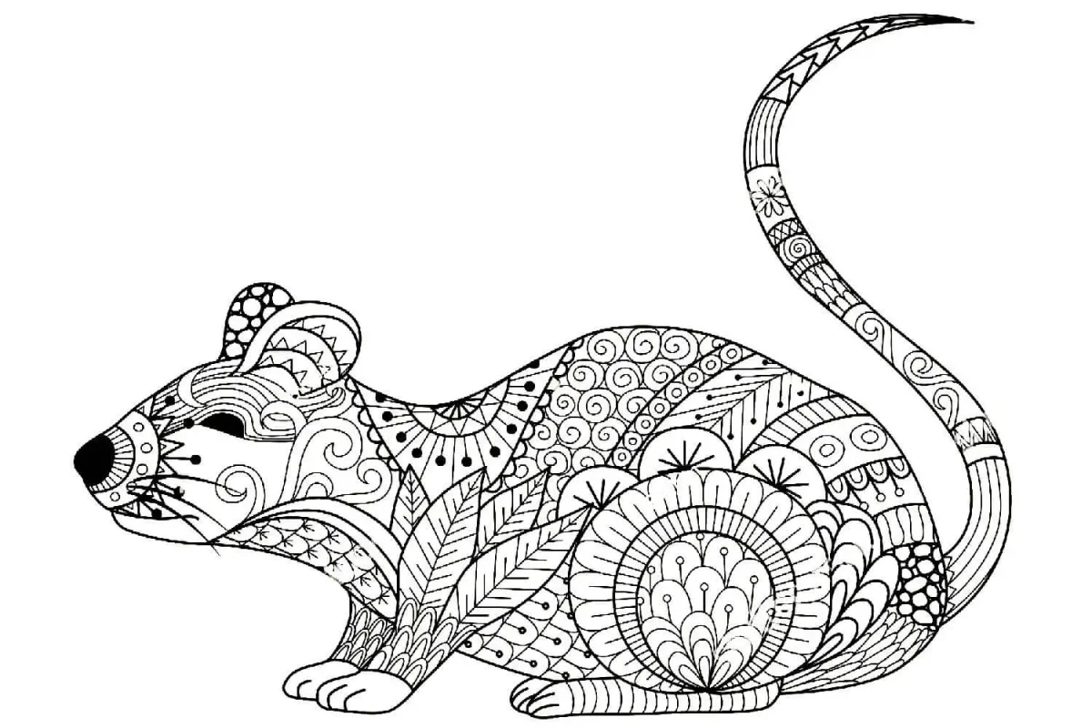 Раскраска антистресс крыса