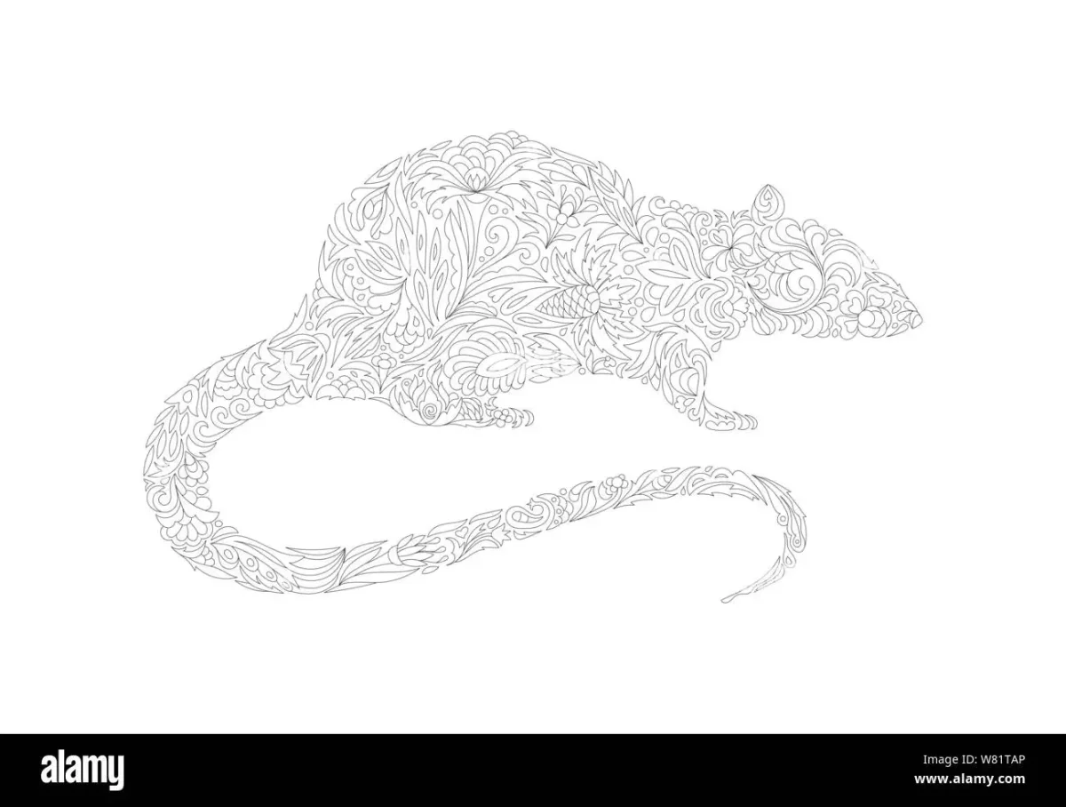 Раскраска антистресс летучая мышь