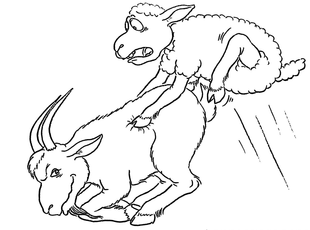 Коза раскраска для детей
