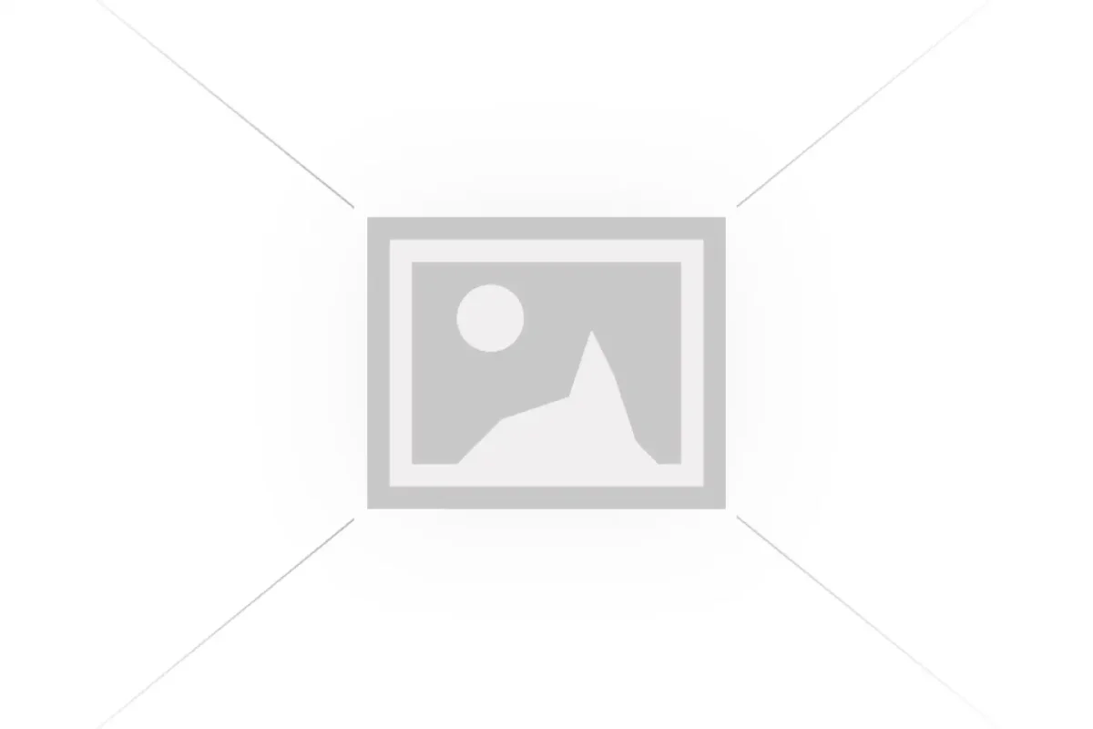 Тетради под дождем в.в.Голявкин