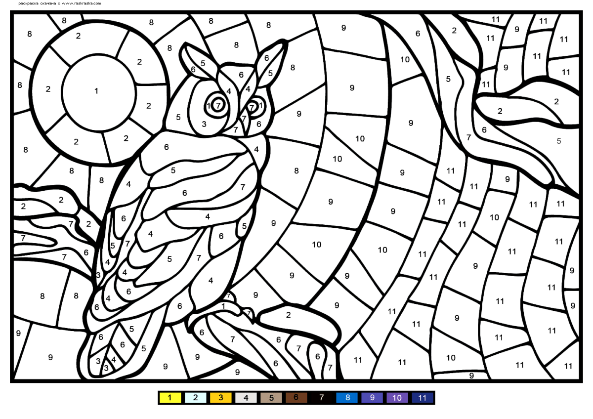 Раскраска по цифрам