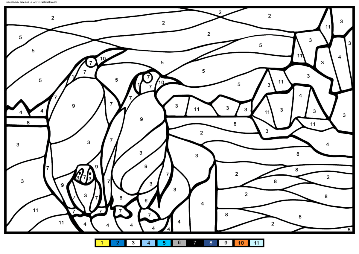 Раскраска по цифрам