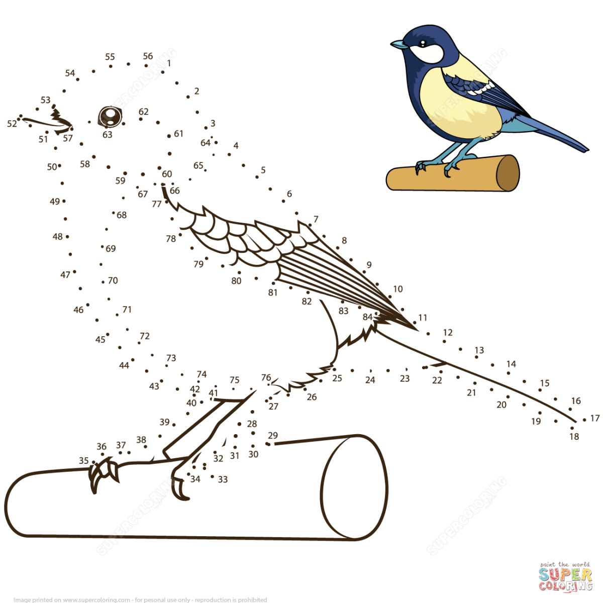 Раскраска по номерам животные