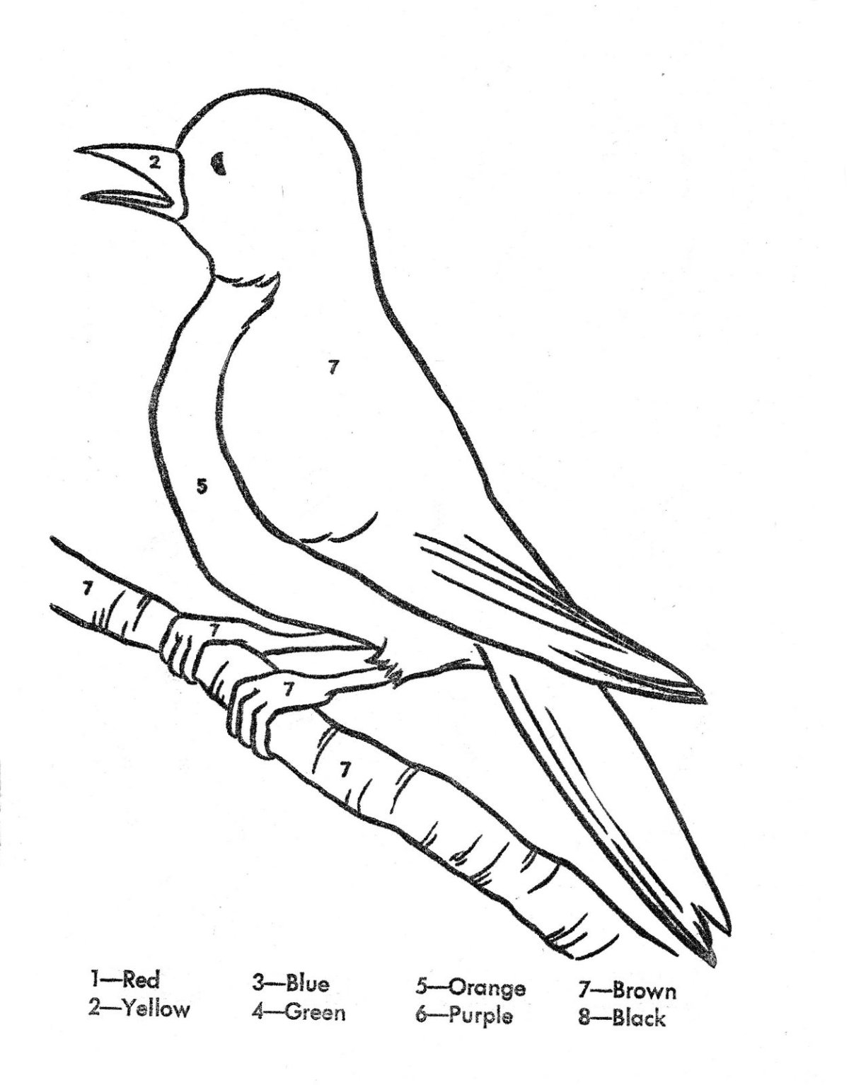 Раскраска по цифрам попугай
