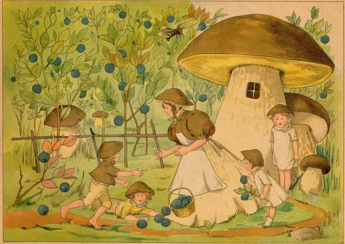 Грибы иллюстрации