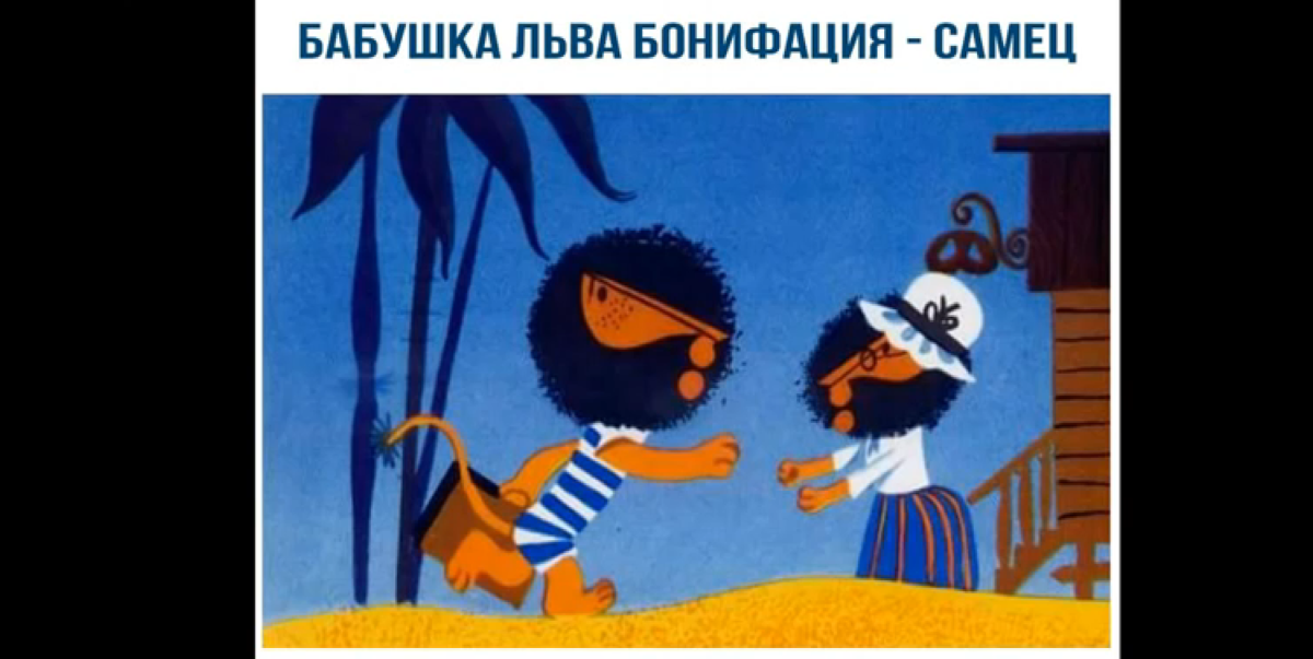 Мадагаскар цирк раскраска