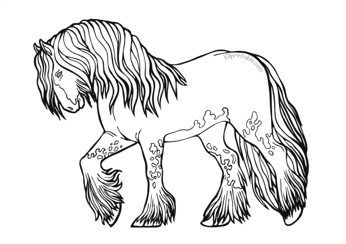 Раскраска лошадь тяжеловоз