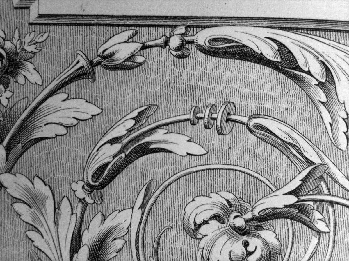 Узоры рококо Акант