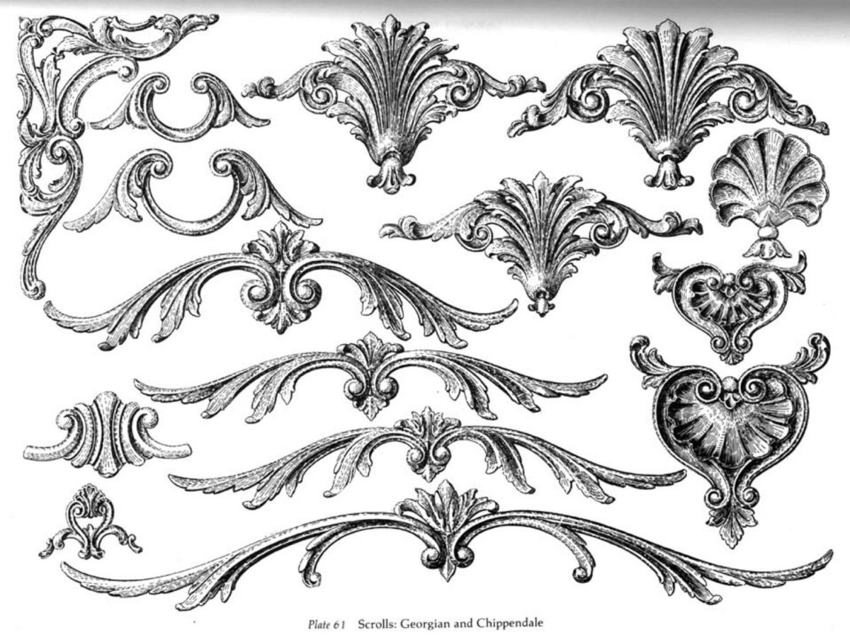 Ренессанс орнамент акантовый лист