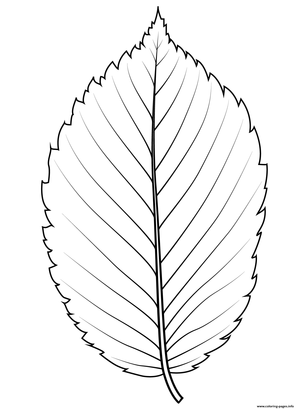 Листья контур