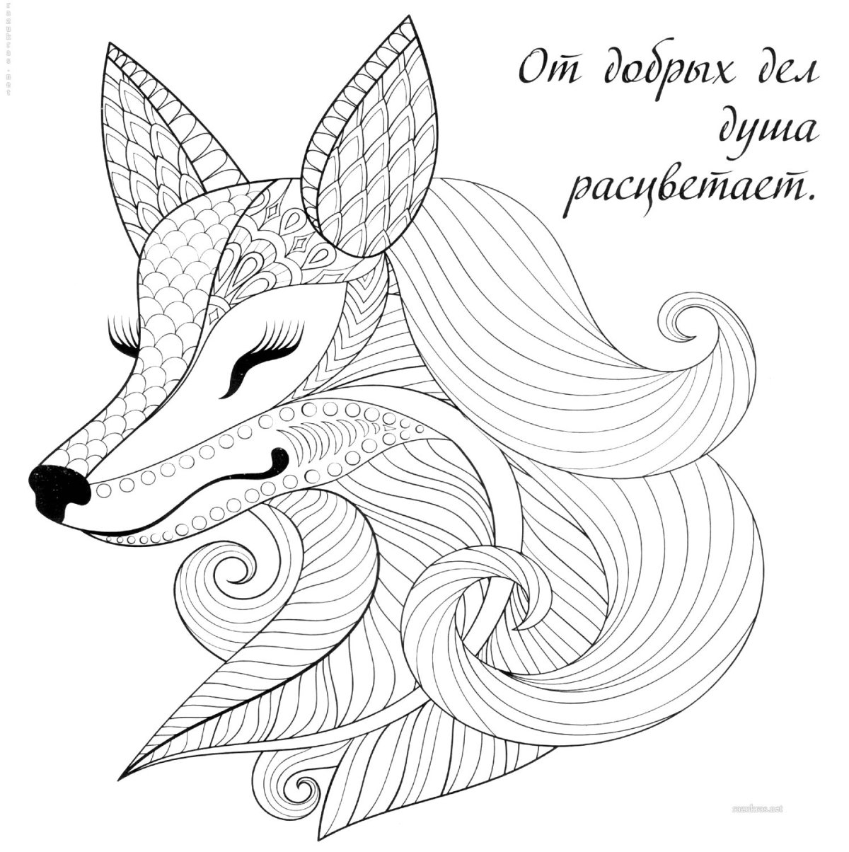 Раскрась по цифрам лиса