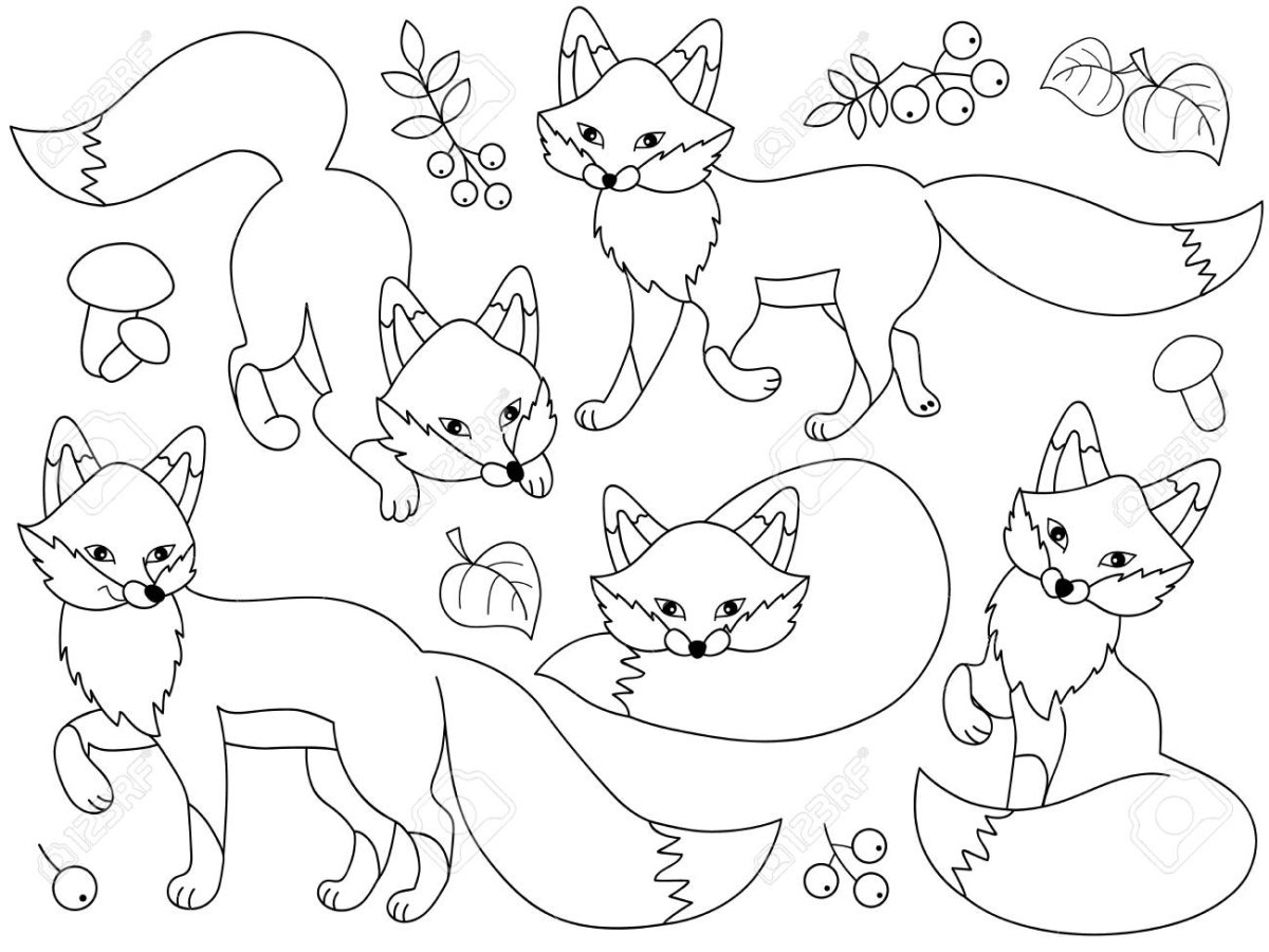 Раскраска обводилка для детей 5-6 лет