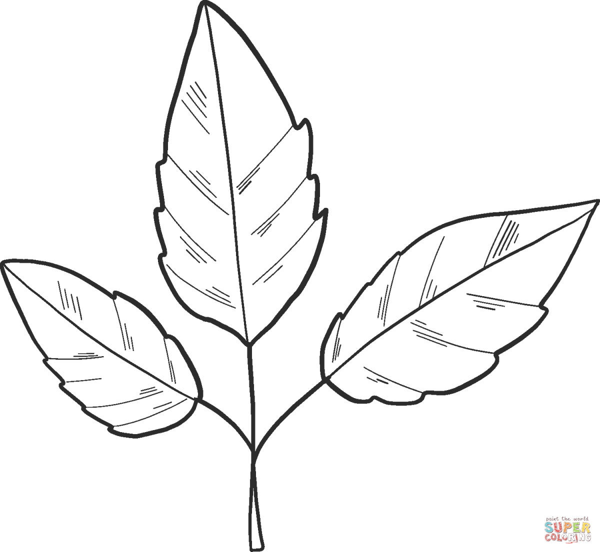 Контур розы для раскрашивания