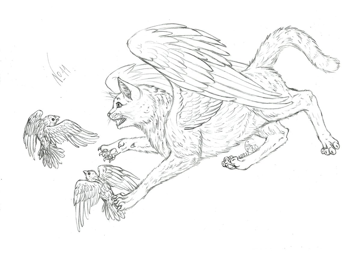 Кошка с крыльями раскраска