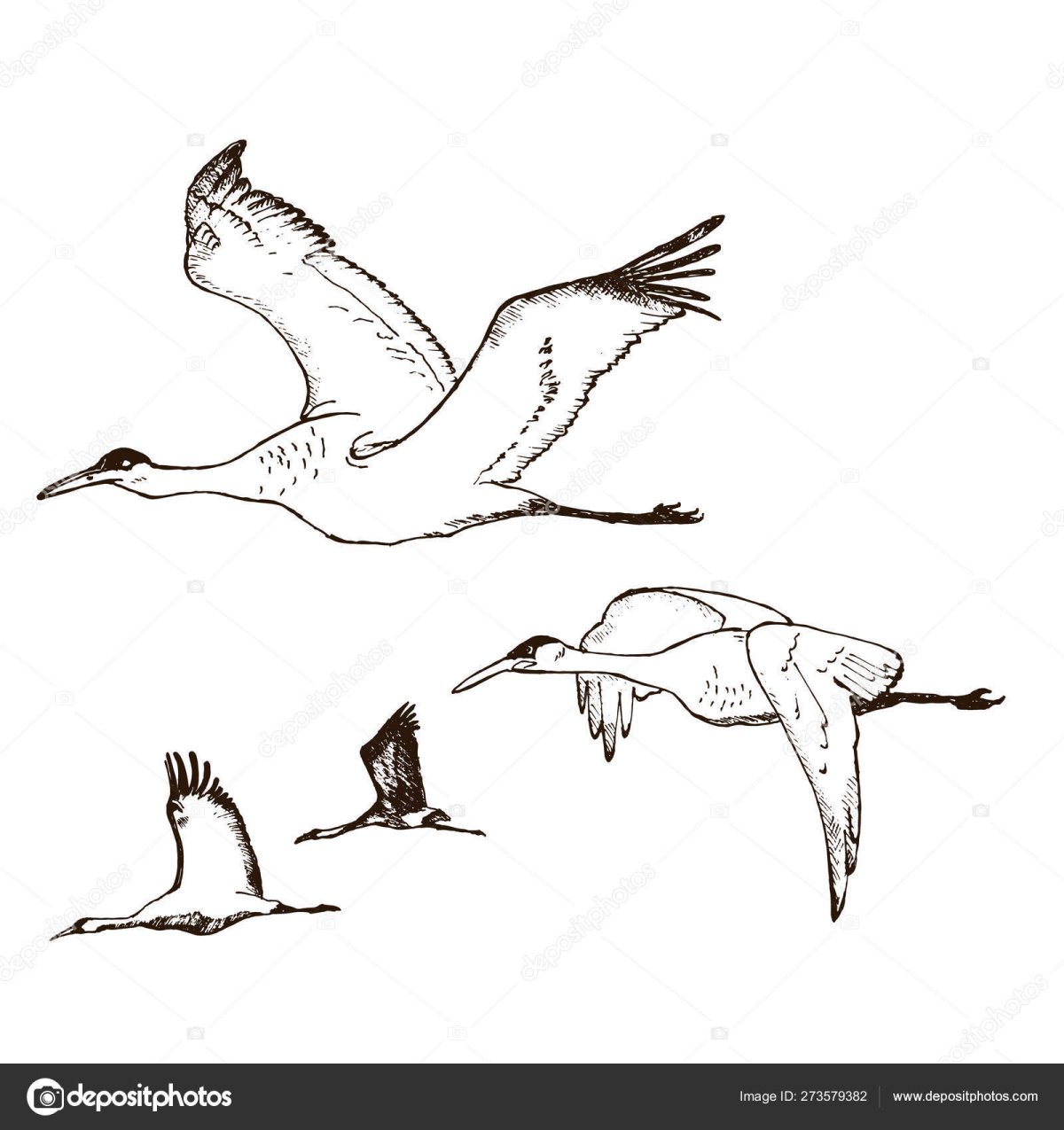 Клин журавлей