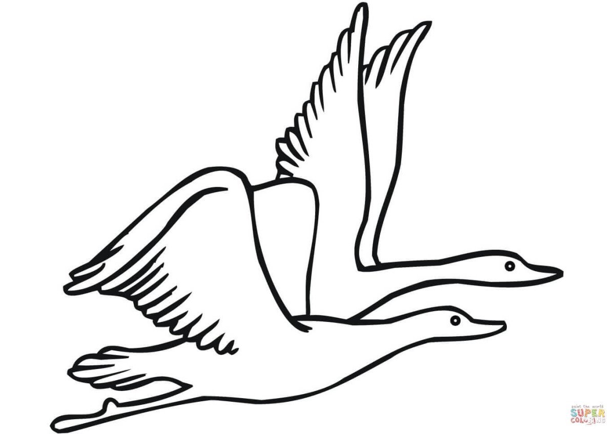 Птицы улетают раскраска