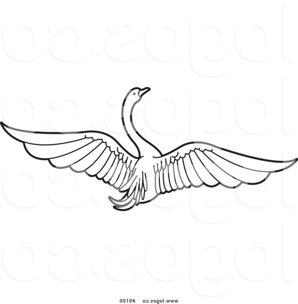 Нарисовать лебедя в полете