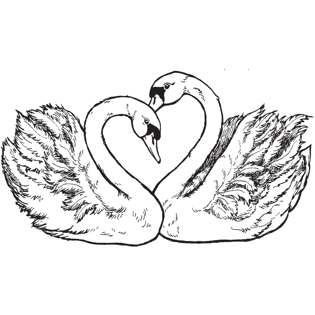 Раскраска пейзажа лебедя