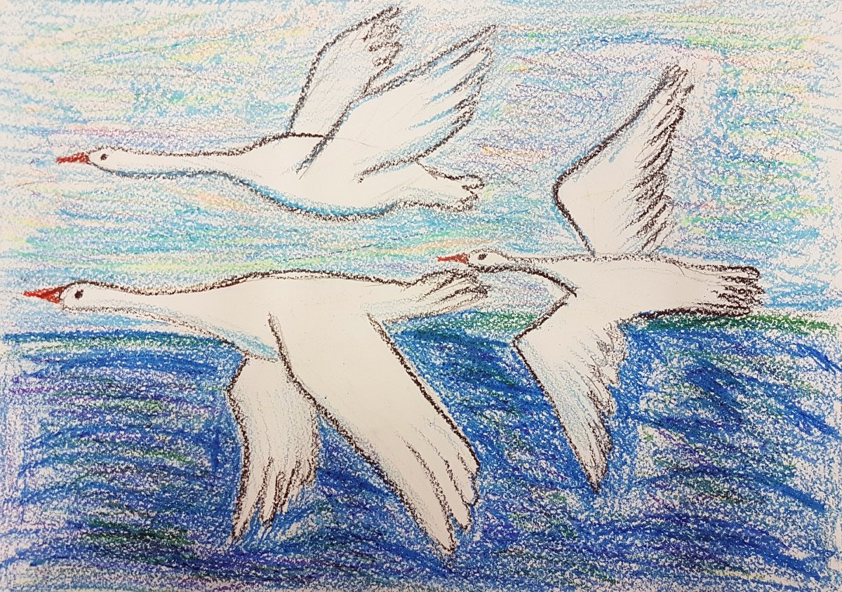 Лебедь раскраска