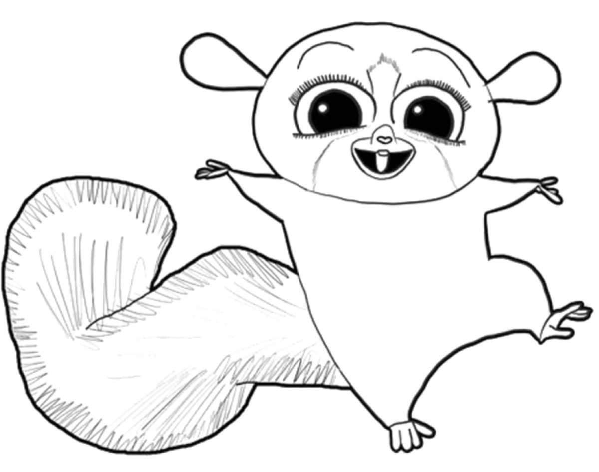 Белка летяга вектор