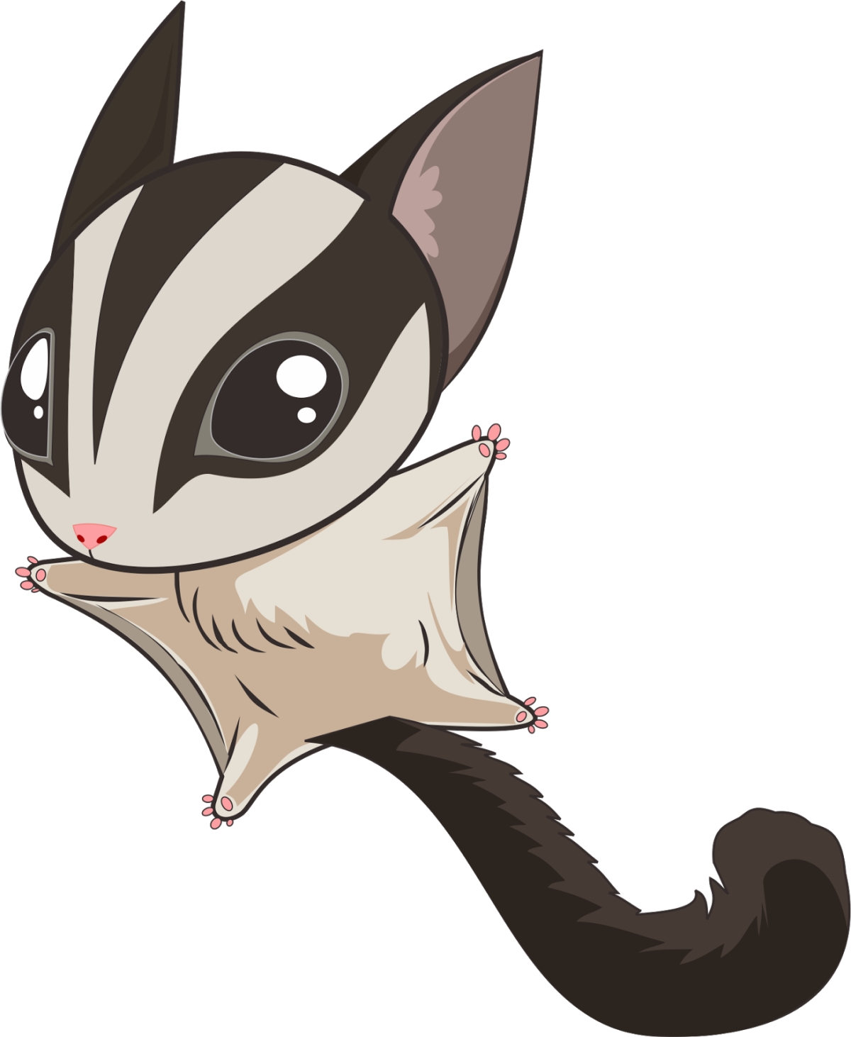 Белка летяга анатомия