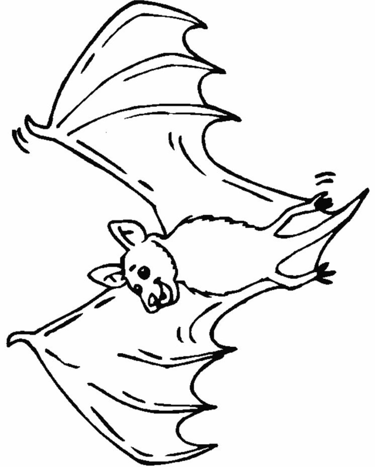 Морт из Мадагаскара карандашом