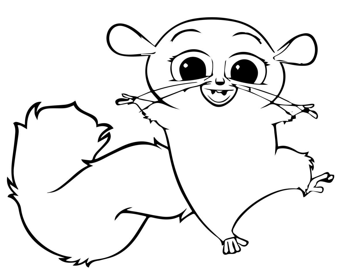 Белка летяга на белом фоне