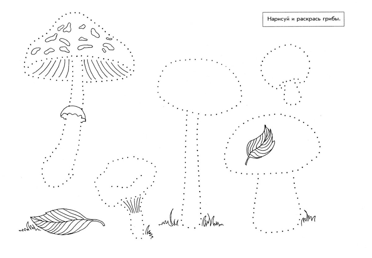 Грибы задания для дошкольников