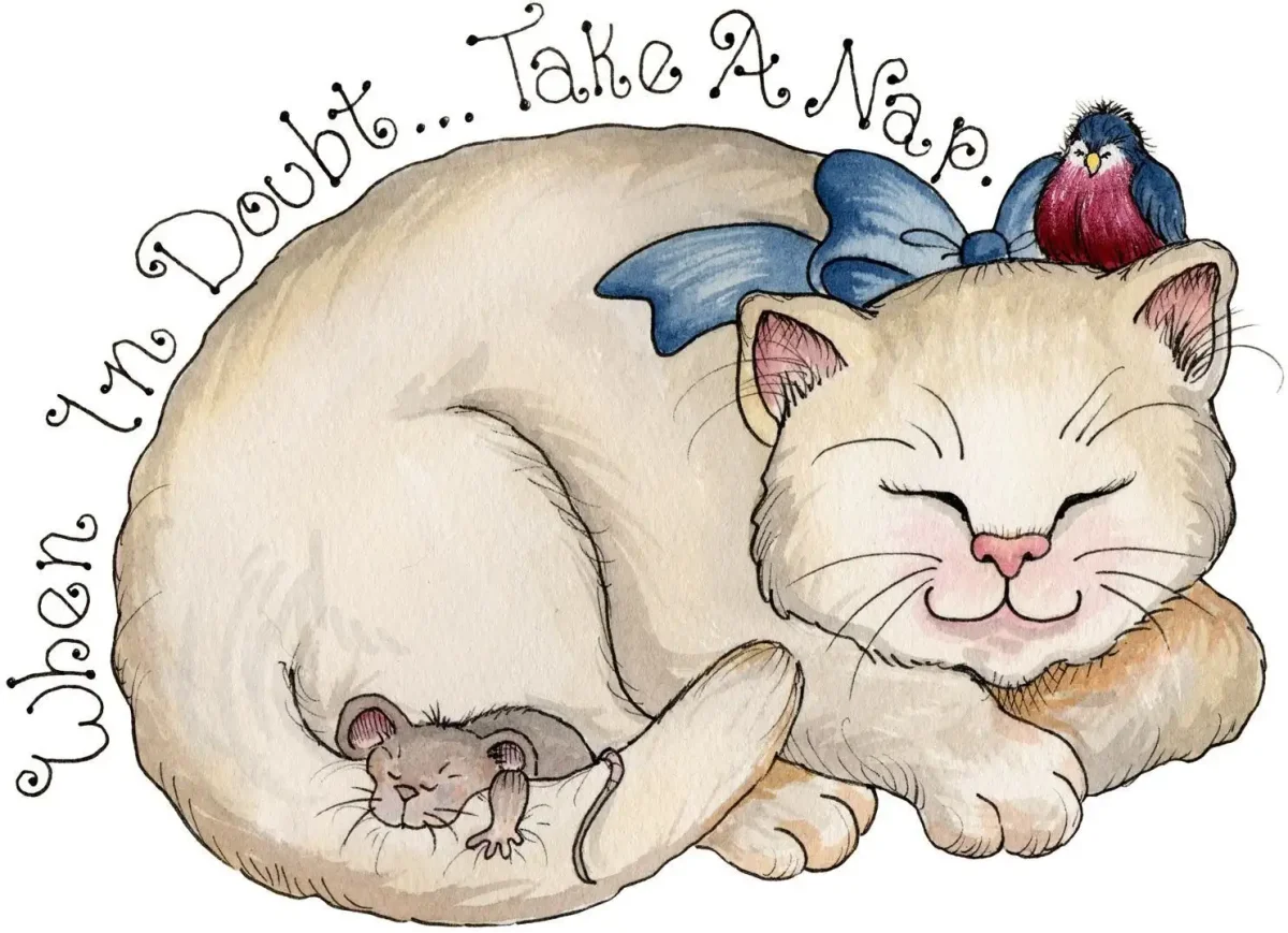 Рисунки спящих котов