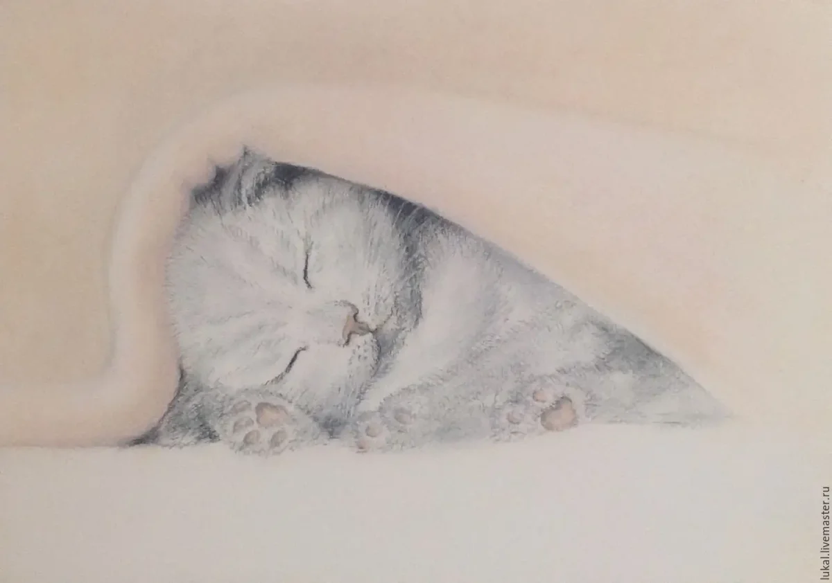 Спящий кот пастелью